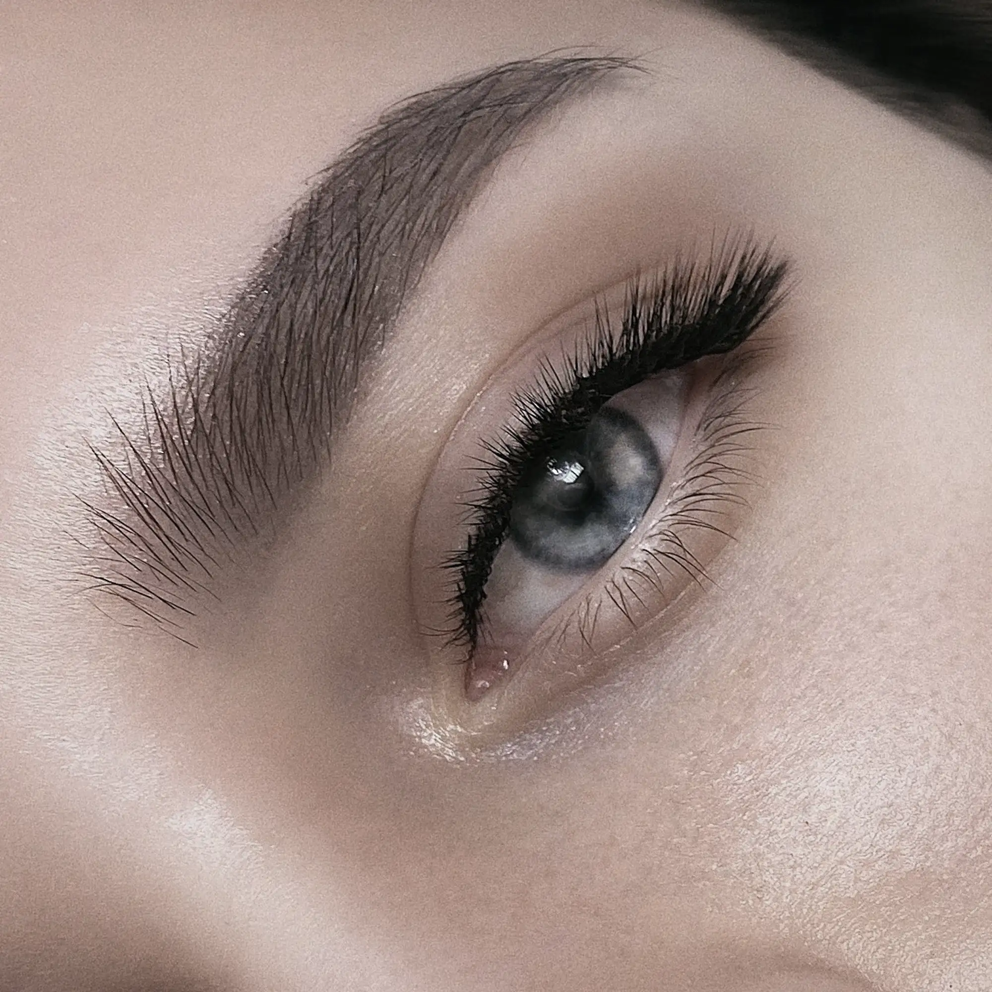 Augenbrauen- und Wimpernserum