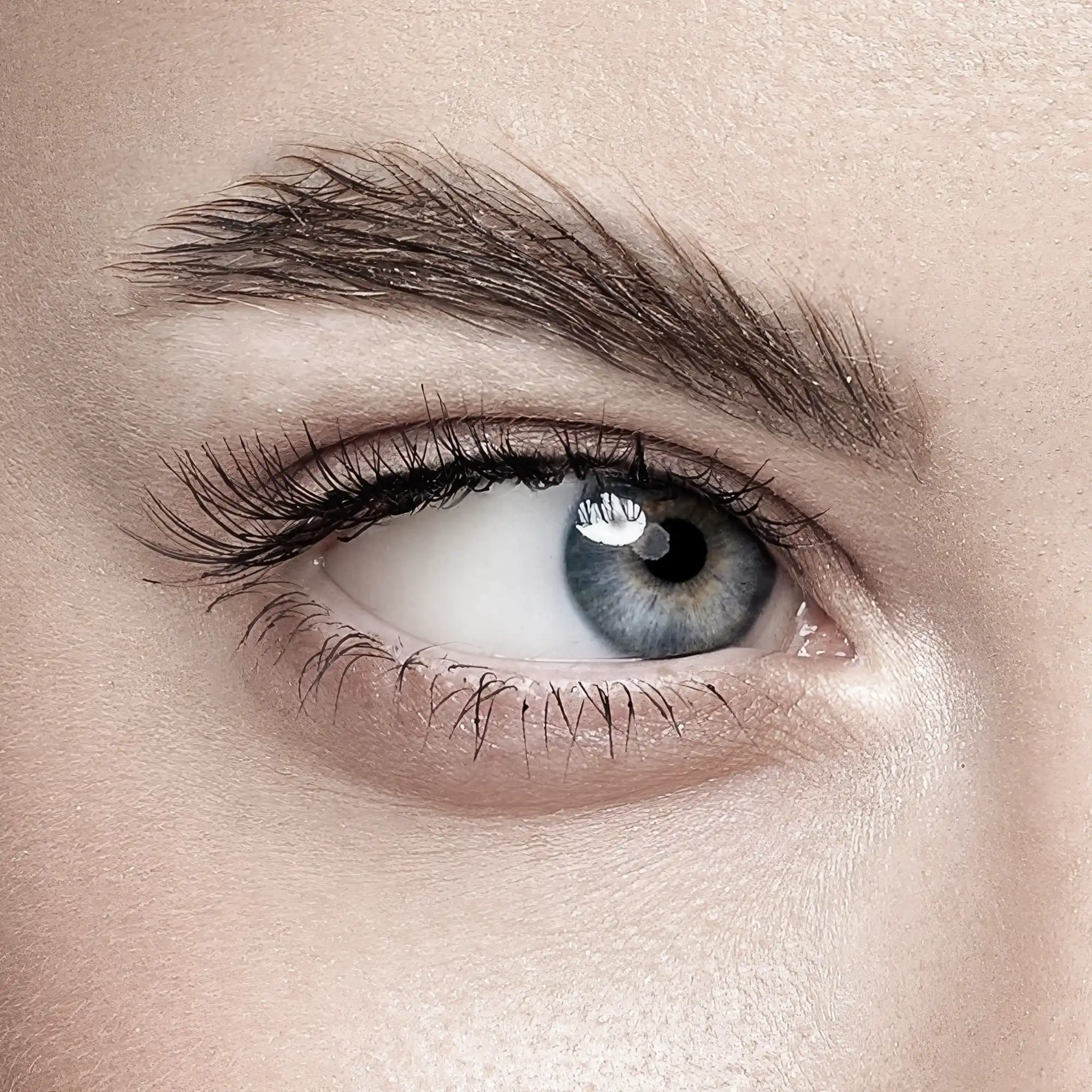 Augenbrauen- und Wimpernserum